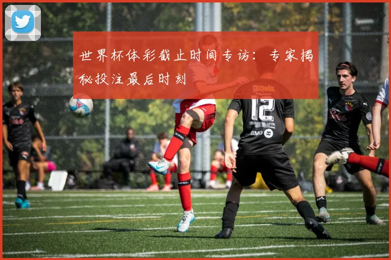 世界杯体彩截止时间专访：专家揭秘投注最后时刻