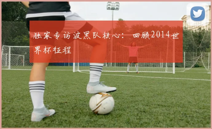 独家专访波黑队核心：回顾2014世界杯征程